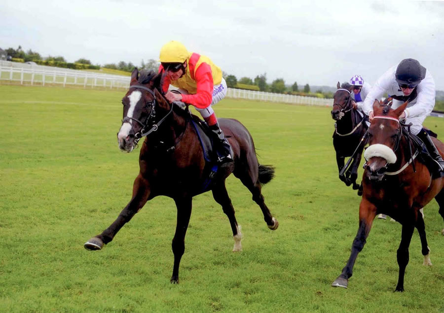 Buccaneer Bob Navan 28th May